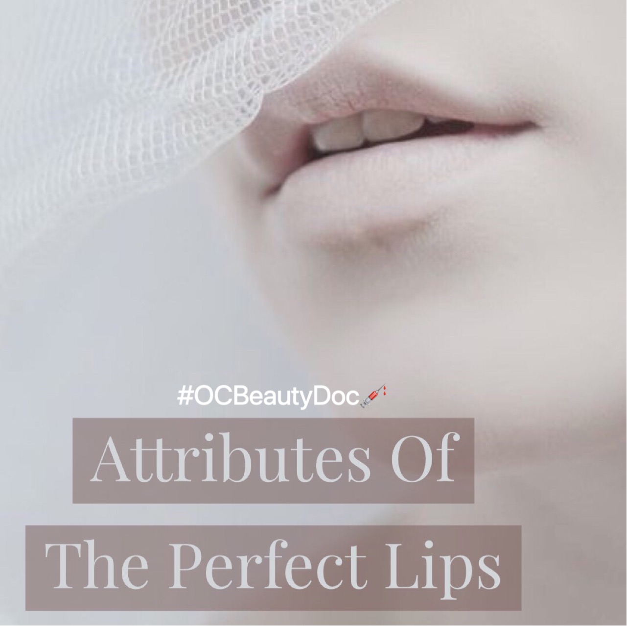 Attributes of the Perfect Lips